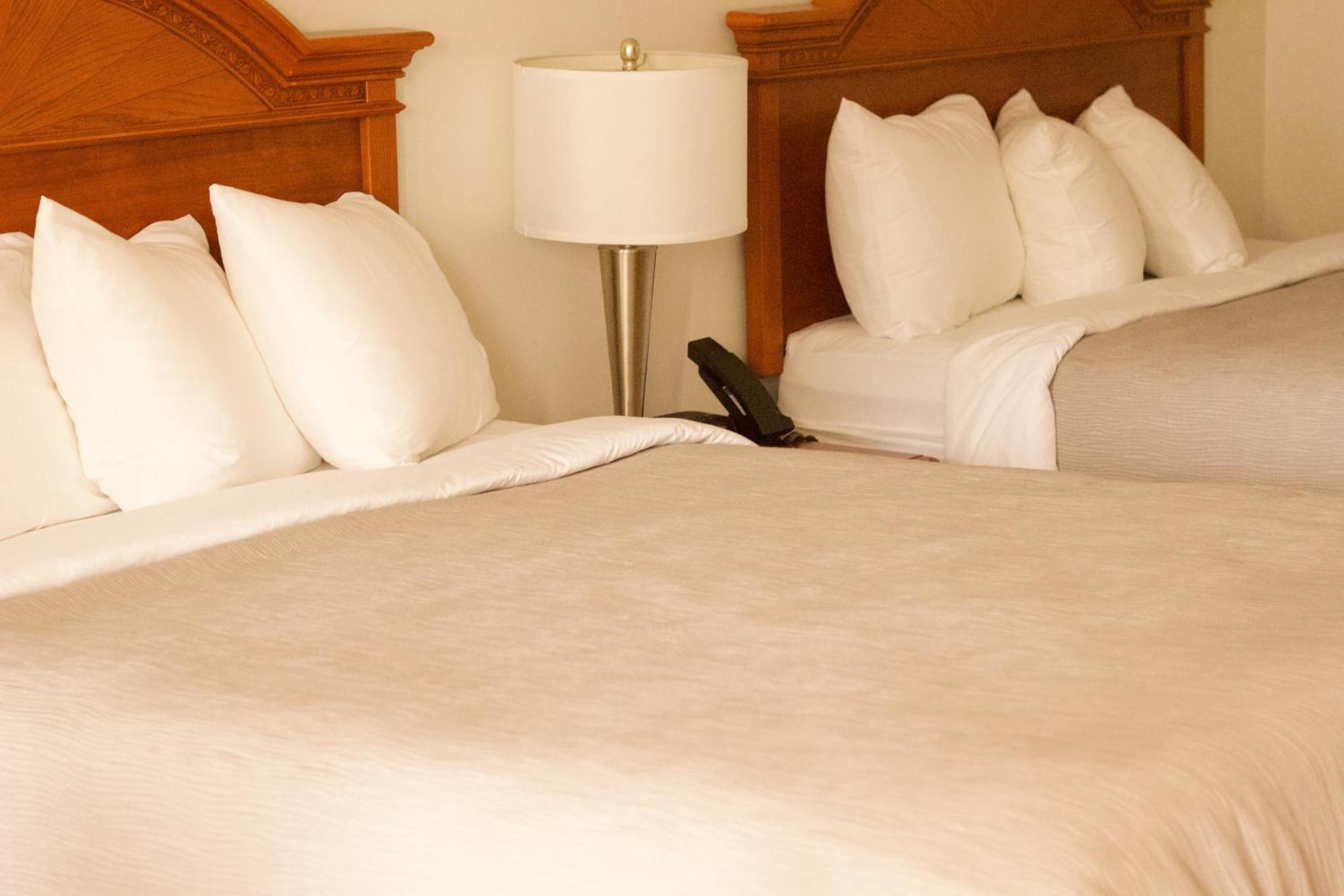 Quality Inn Near Chattanooga South 링골드 외부 사진