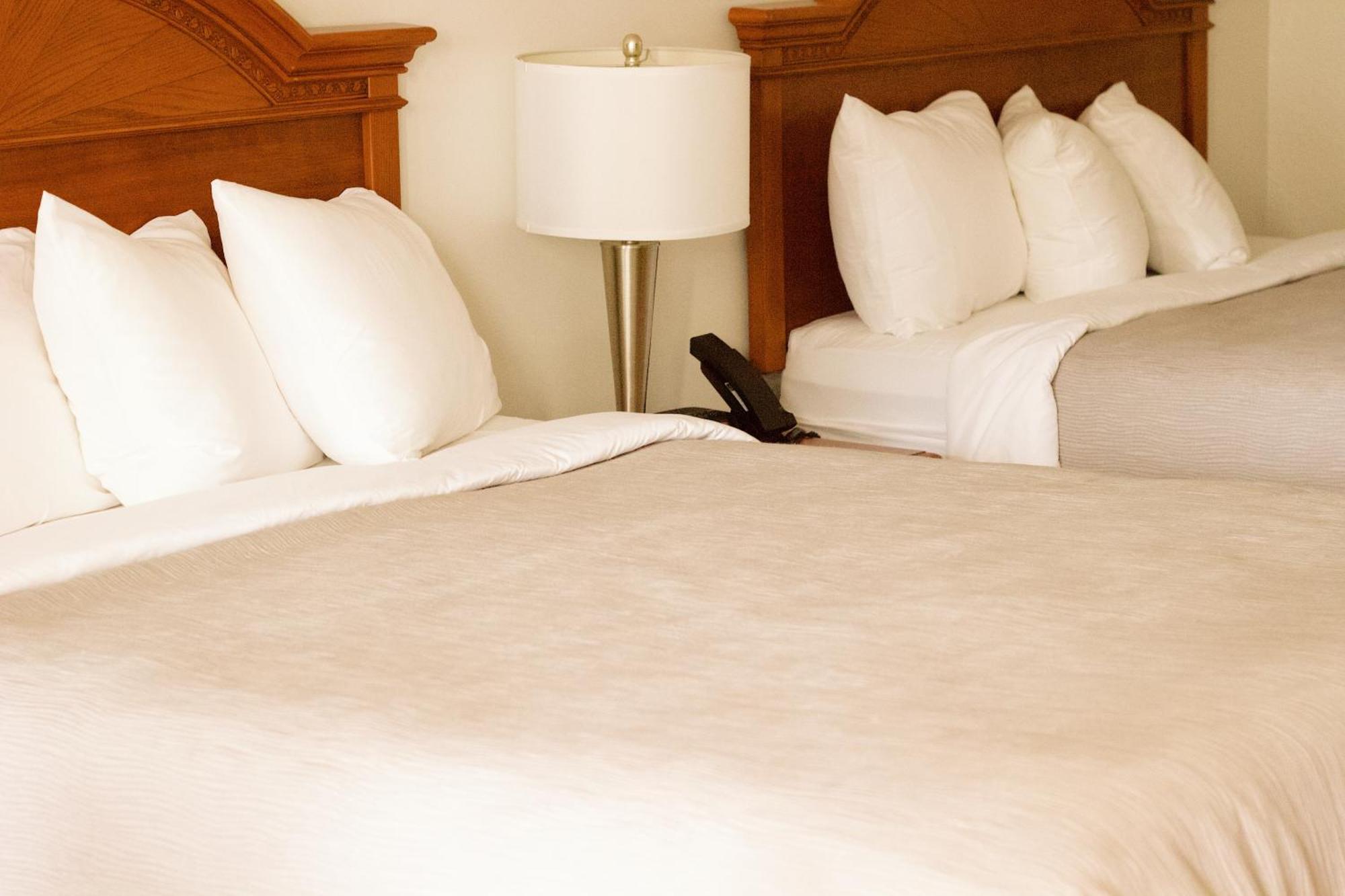 Quality Inn Near Chattanooga South 링골드 외부 사진